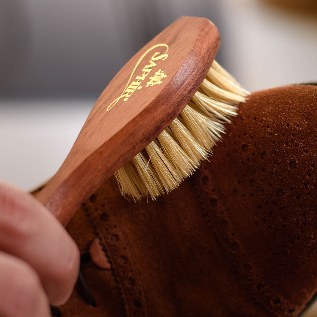 Shoe care brushes
